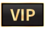 VIP 一年保固